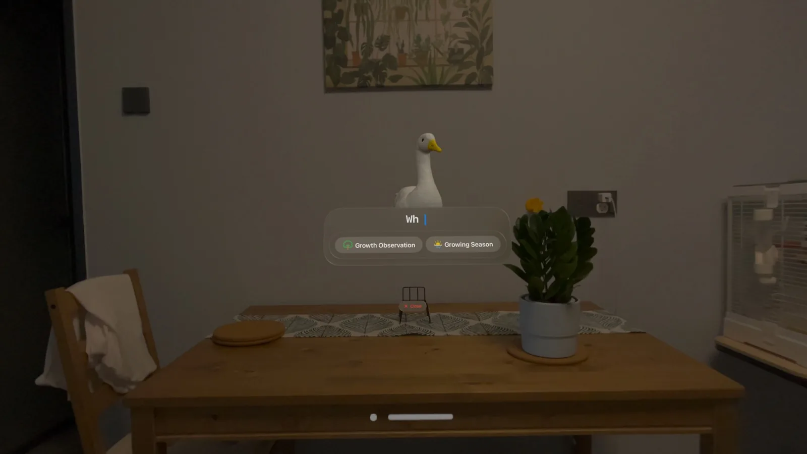 Goose standing above a potted plant on a table, offering options