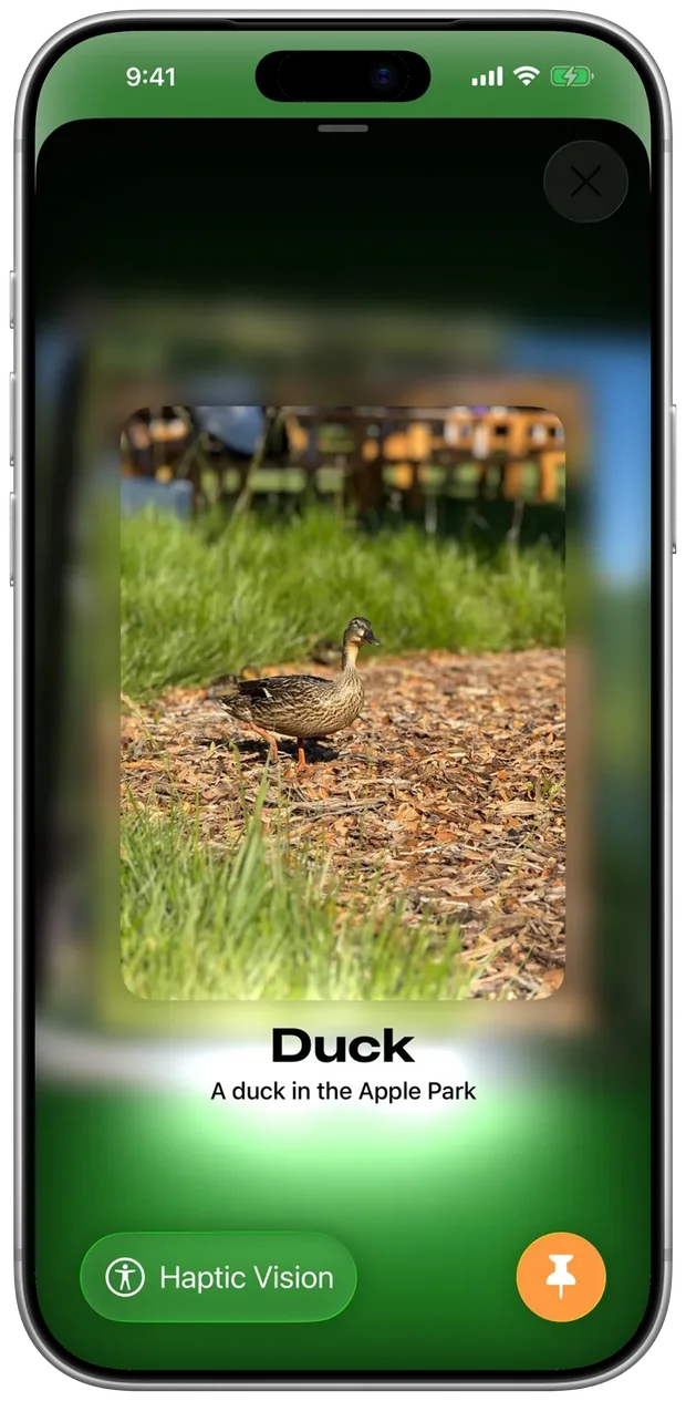 A duck memory card on iPhone
